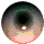 shifty_eye1.gif (10790 bytes)